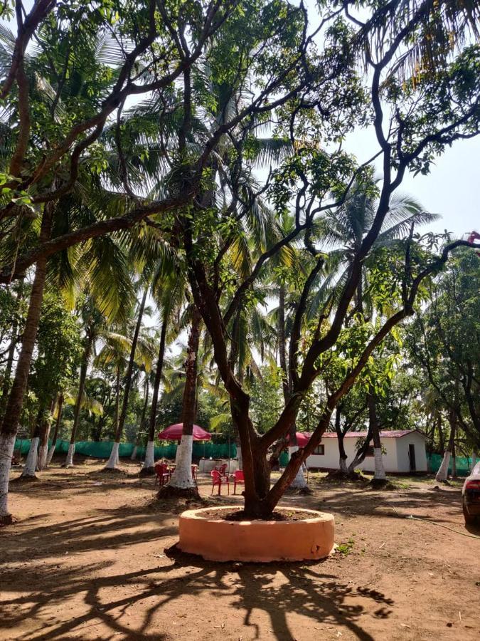 Sereno Farms Hotel Alibag Luaran gambar