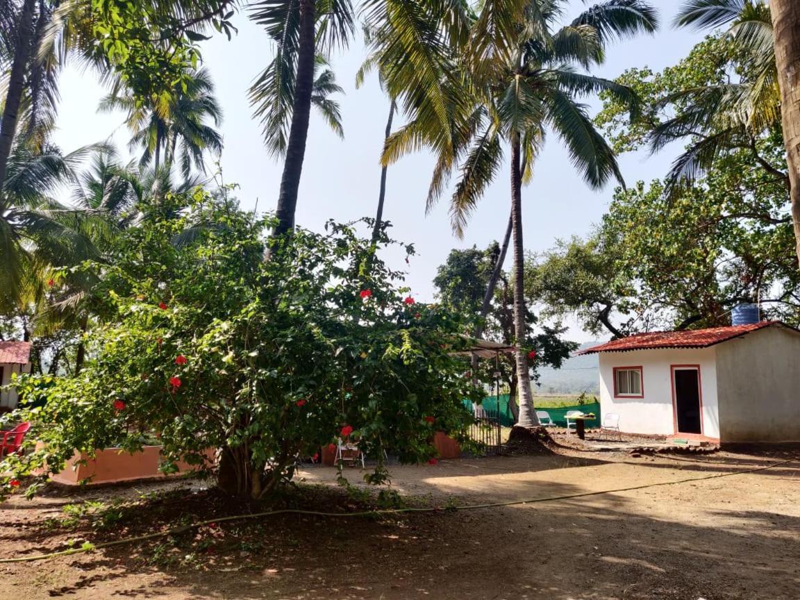 Sereno Farms Hotel Alibag Luaran gambar